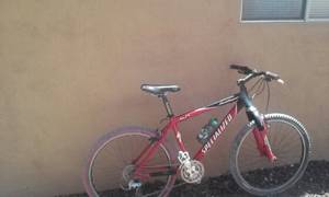 Specialized XC Mountain Bike (Las Cruces/ Ruidoso)
