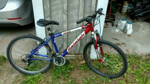 Raleigh M50, 2003, 18