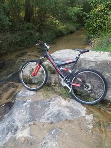 Mountain bike (Grayson)