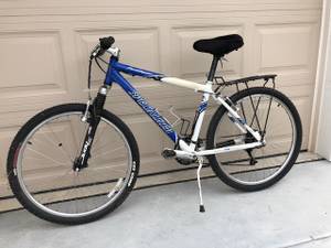 Specially Built Mountain Bike (Newton KS)