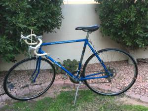 Vintage Araya Road Bike (Chandler)