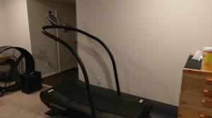 Woodway Curve Non-Motorized Treadmill for Sale