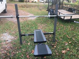 Olympic weight bench, Olympic bar, and plates (Piedmont)