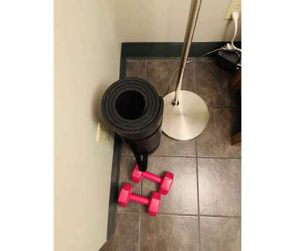 Free Weights + Exercise Mat