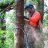 Aussie Tree Care Arborists
