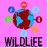 Wildlife Workshops (for ages 8-11 years)