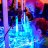 Michigan Coral Expo (Reef Aquarium) Expo