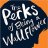 TEEN Book Club: The Perks of Being a Wallflower
