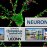 2019 NEURON Conference at Quinnipiac University
