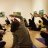 Guided Meditation Series: Inner Panorama (April)