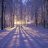 Winter Retreat: A Day of Mindfulness & Silent Meditation