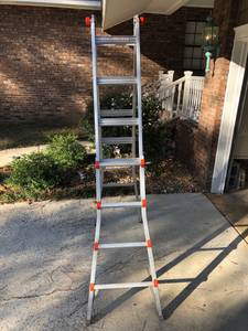 Little giant Ladder