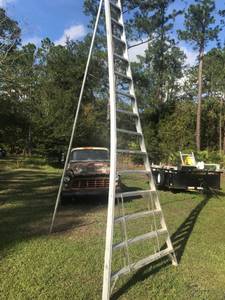 16 foot platform Tripod ladder (Bunnell fl)