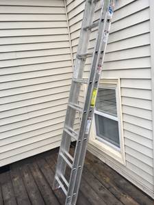 16 extension ladder (Sidney)