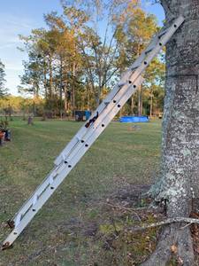 14 Foot Adjustable Ladder (Kingsland, GA)