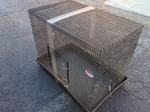 Large Animal Cage Multi level (Ferrit, Rat or hand sized pet) (CHICAGO)