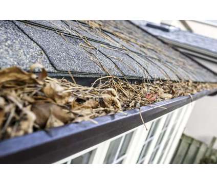 Affordable Gutter Cleaning