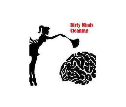 Dirty Minds Exotic Home & Office Cleaning