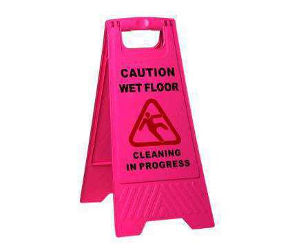Dirty Minds Exotic Home & Office Cleaning