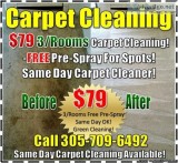 Green Carpet Cleaning Same Day Service