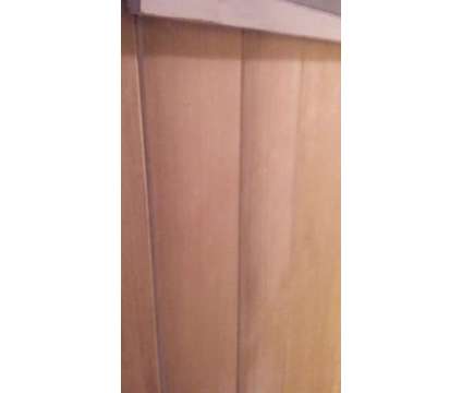 Professional House Painting