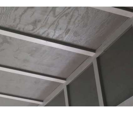 Professional House Painting