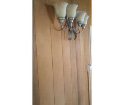 Professional House Painting