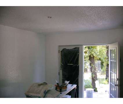 Painting and Drywall Repair