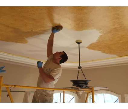 Good Quality Affordable Prices Painting Services (Cypress)