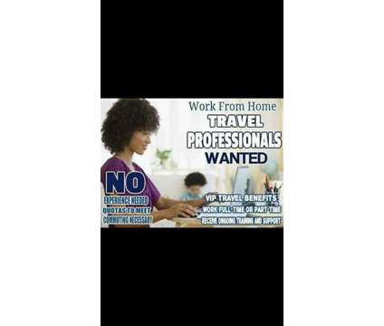 Travel Consultants Wanted