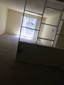Looking for new roommate! Rent $516/month (Riverpark) $516 2bd