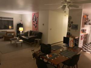 East Side Apartment - Large Two BR, looking for roommate (East Side