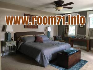 Need room? I'm looking for a roommate!