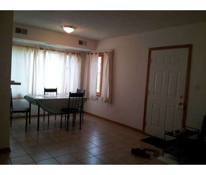 Clean roommate wanted