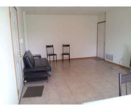 Clean roommate wanted