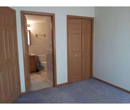 Clean roommate wanted