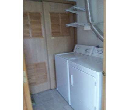 Clean roommate wanted