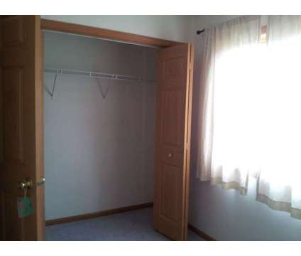 Clean roommate wanted