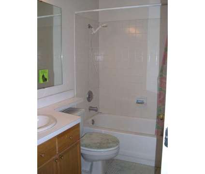 Female roommate wanted
