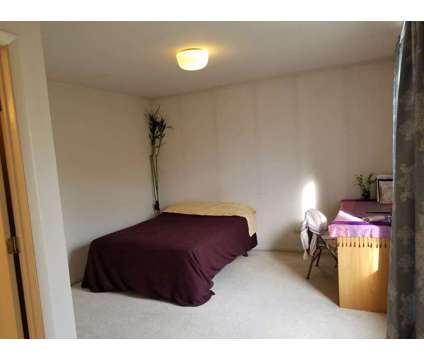 Female roommate wanted