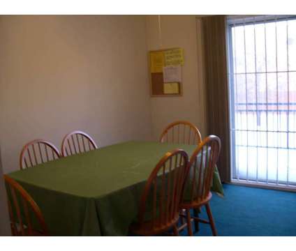 Female roommate wanted