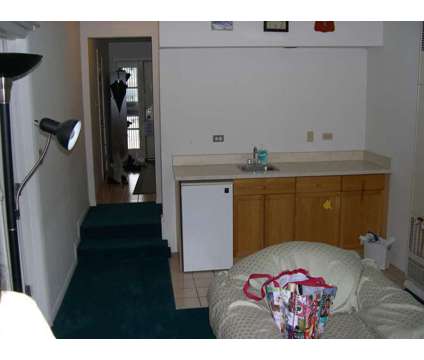 Female roommate wanted