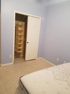 Room for Rent (North) ABP (Pflugerville) $500 2100ft 2