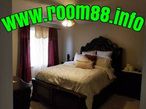 Rooms for rent: females only (minneapolis)
