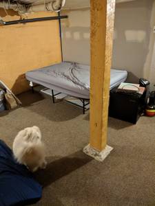 Looking for 4th Roommate, Close to Campus (11th and Harrison)