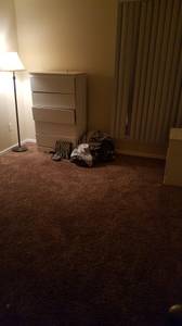roommate in 20s needed (sycamore view)