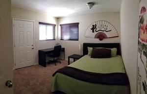 Nice Room in Two BR/Two BA in Charleston! (Charleston) $280 1500ft 2