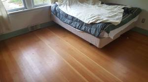 One BR room for rent in Three BR room house 15 min from down town (south seattle