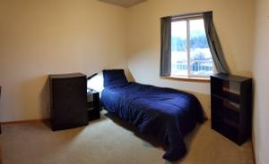 ROOMMATE NEEDED - QUIET, FURNISHED, SEHOME-AREA APARTMENT (Bellingham, WA)