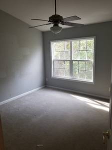 Looking for third roommate (Raleigh)